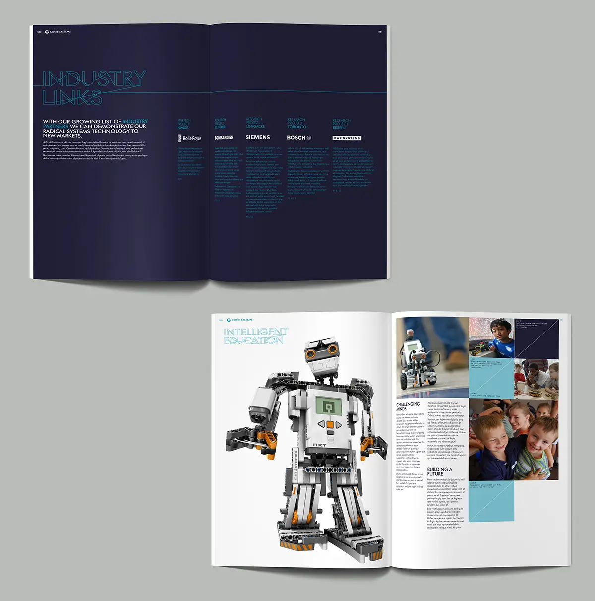 Corte Systems annual report detail