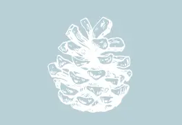 Hall of Pine