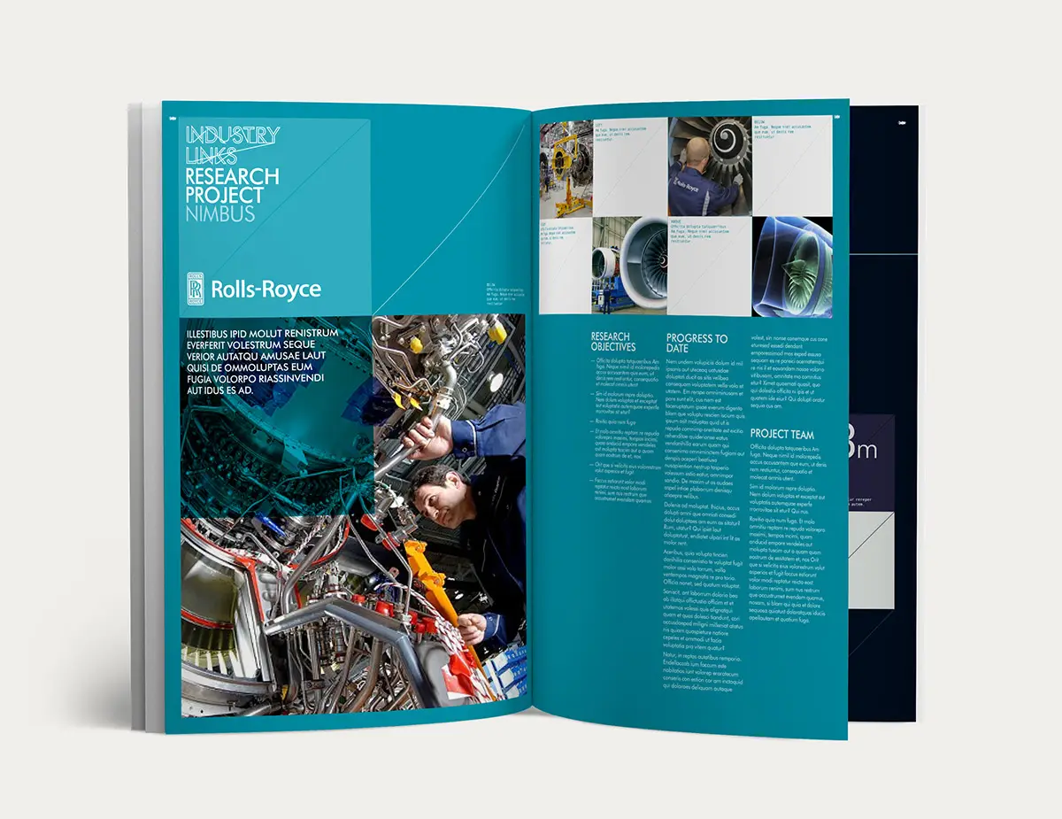 Corte Systems annual report detail