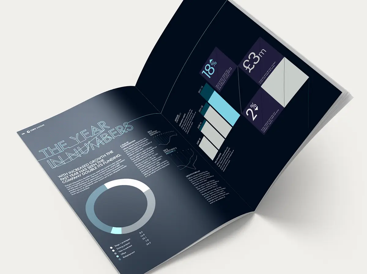 Corte Systems annual report detail