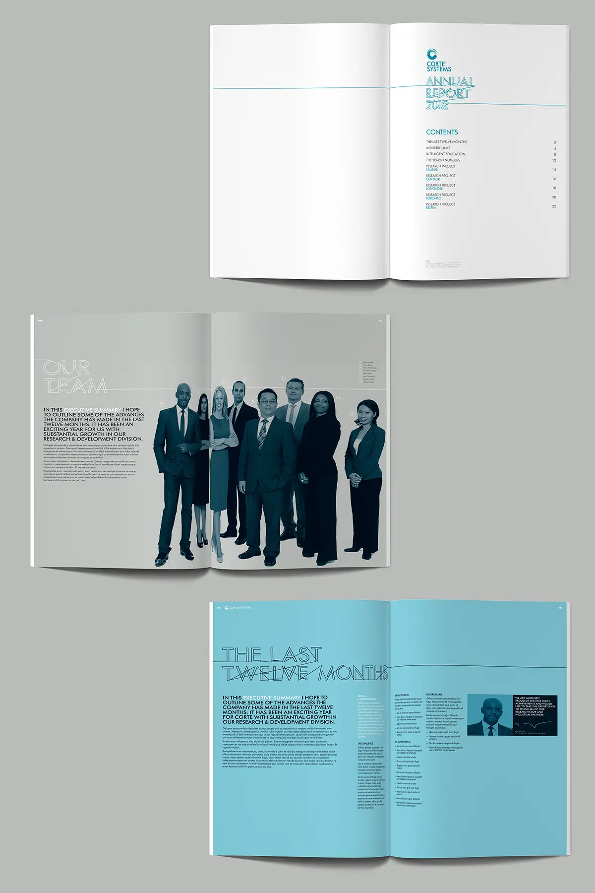 Corte Systems annual report detail